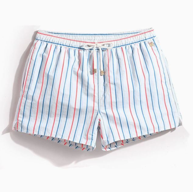 Men's Striped Swim Shorts